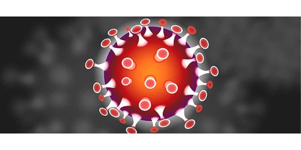 香港單向通關最新消息今天，冀港深發(fā)揮“雙引擎”
