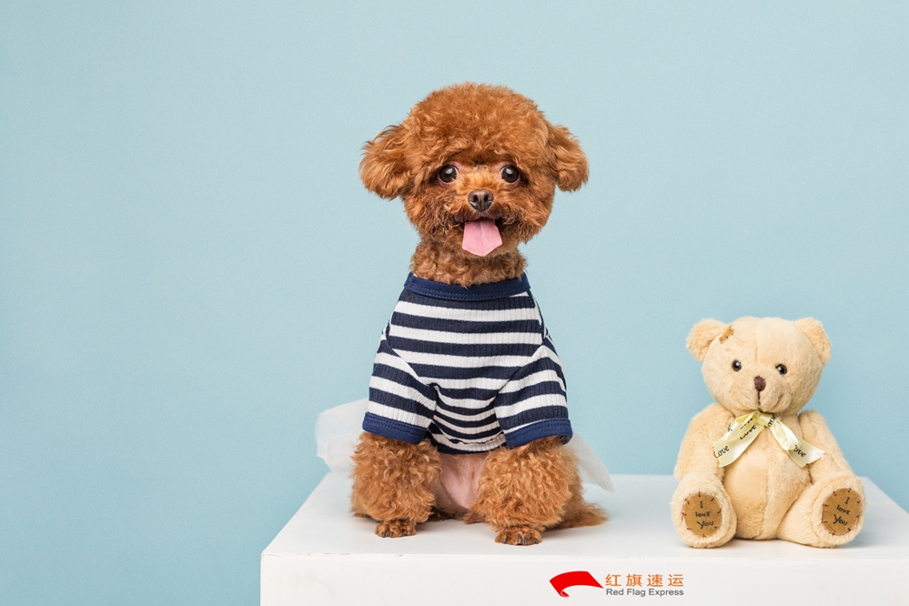 玩具香港轉(zhuǎn)運(yùn)到中國(guó) 玩具香港轉(zhuǎn)運(yùn)到中國(guó)