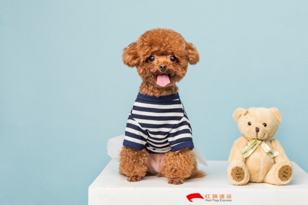 疫情期間香港商品如何轉運到湖北隨州呢？