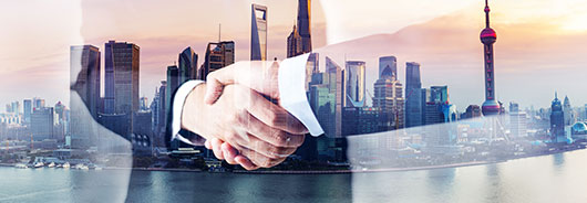 省級(jí)經(jīng)銷(xiāo)商