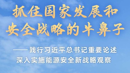 repov軟件下載