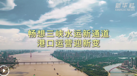 手勢搜索軟件下載