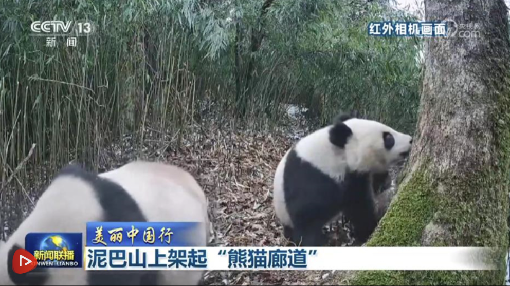 雲書網app下載